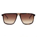 Cerruti CE8600 Tortoiseshell Gold Browline Sunglasses